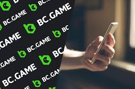 Exploring Payment Solutions at BC.Game A Comprehensive Guide Exploring Payment Solutions at BC.Game A Comprehensive Guide